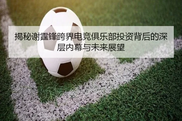 揭秘谢霆锋跨界电竞俱乐部投资背后的深层内幕与未来展望（Baobo）