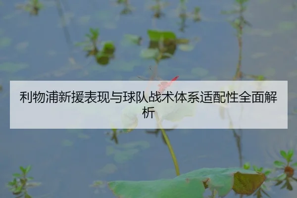 利物浦新援表现与球队战术体系适配性全面解析（Baobo）