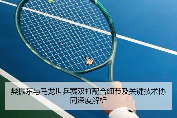 樊振东与马龙世乒赛双打配合细节及关键技术协同深度解析